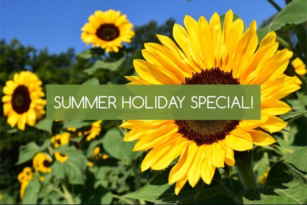 Summer Holiday Special